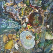 Coquillage sur l'estran, 16x16cm, 2019 (collection privée)