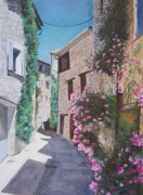 Buis les Baronnies - 30x40cm