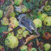 L'oiseau dans les pommes - 20x20cm