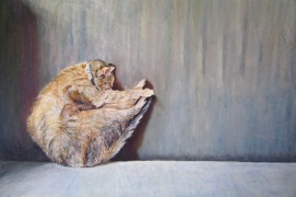 Le chat d'Ortaire endormi - 60x40cm