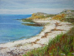 Molène - 20x15cm