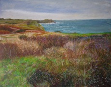 Ile d'Yeu N°1- 19x15cm